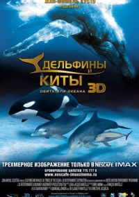 Дельфины и киты 3D (2008)