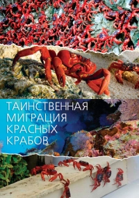 Таинственная миграция красных крабов (2020)