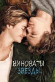 Виноваты звезды (2014)