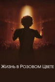 Жизнь в розовом цвете (2007)